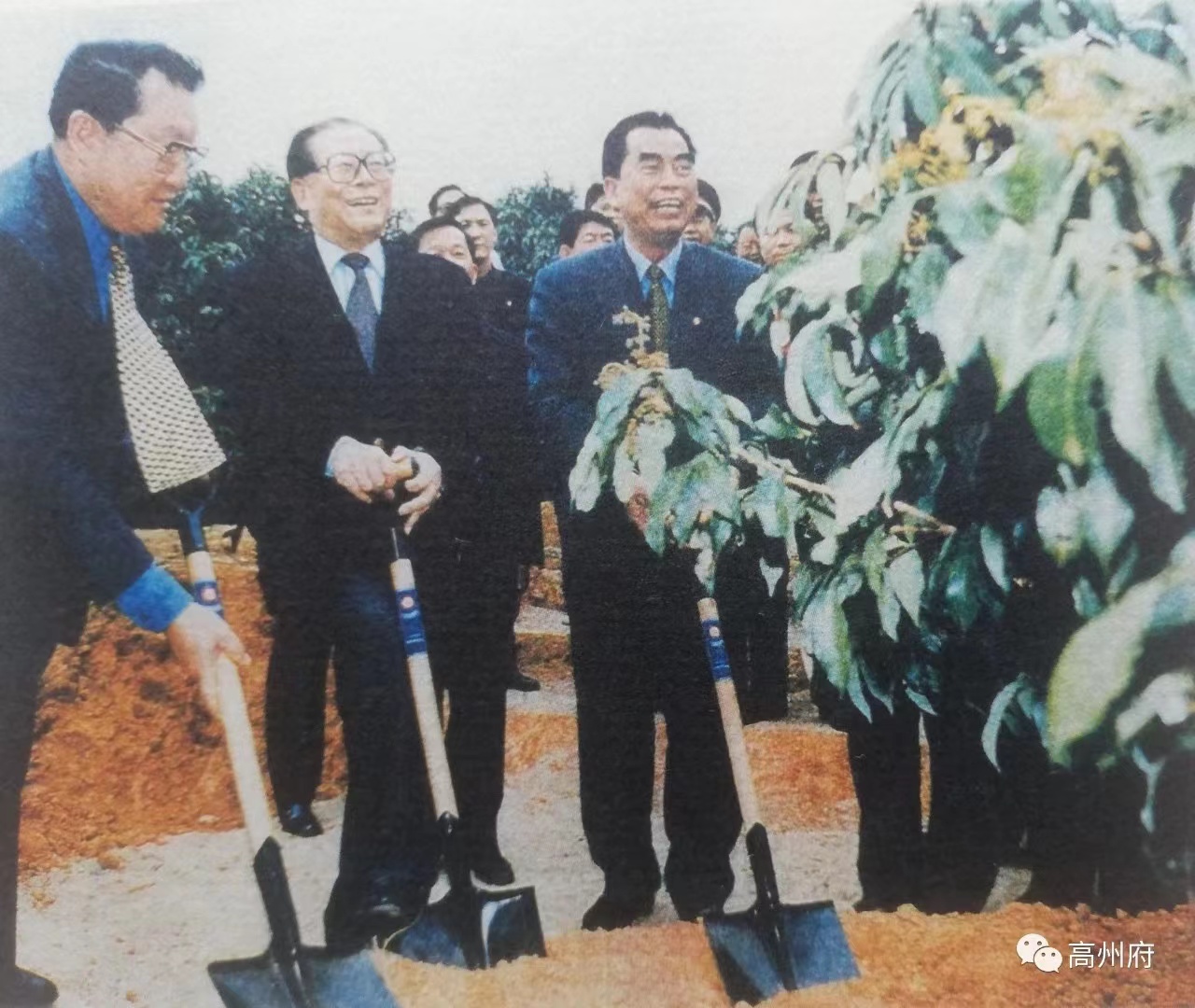 珩祥电保-中国荔枝博物馆米兰线上平台(集团)官方网站用电改造
